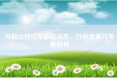 马鞍山网约车最新动态，行业变革与发展趋势