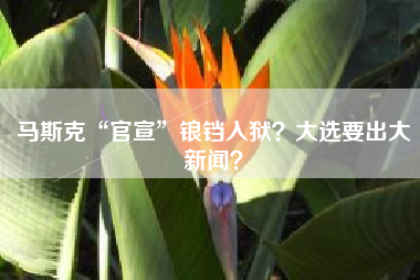 马斯克“官宣”锒铛入狱？大选要出大新闻？