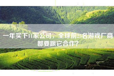 一年买下11家公司,全球前25名游戏厂商都要跟它合作? 一年买下11家公司,全球前25名游戏厂商都要跟它合作?