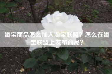 淘宝商品怎么加入淘宝联盟？怎么在淘宝联盟上发布商品？