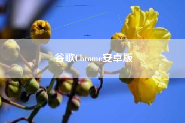 谷歌Chrome安卓版