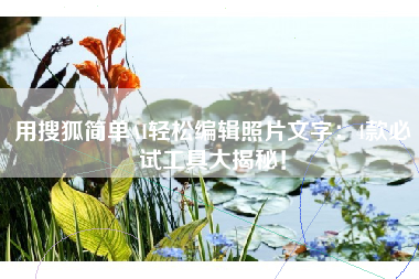 用搜狐简单AI轻松编辑照片文字：4款必试工具大揭秘！