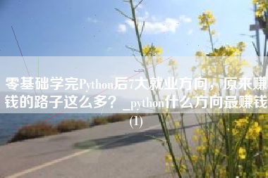 零基础学完Python后7大就业方向，原来赚钱的路子这么多？_python什么方向最赚钱(1)