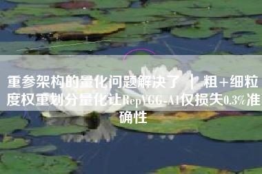 重参架构的量化问题解决了 ｜ 粗+细粒度权重划分量化让RepVGG-A1仅损失0.3%准确性