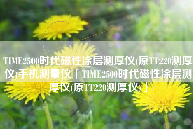TIME2500时代磁性涂层测厚仪(原TT220测厚仪)手机测量仪「TIME2500时代磁性涂层测厚仪(原TT220测厚仪)」