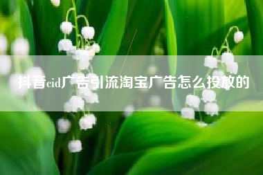 抖音cid广告引流淘宝广告怎么投放的