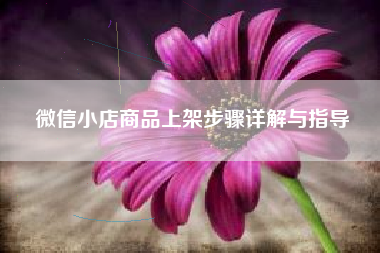 微信小店商品上架步骤详解与指导