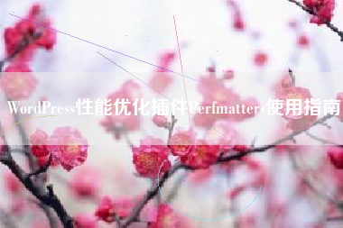 WordPress性能优化插件Perfmatters使用指南