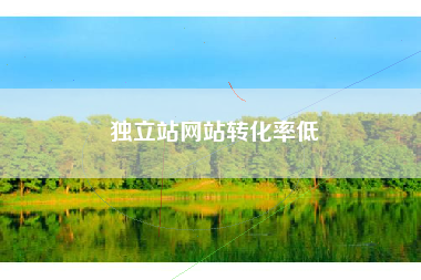 独立站网站转化率低