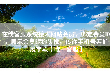 在线客服系统接入网站会员，绑定会员ID，展示会员昵称头像，传递手机号等扩展字段【唯一客服】
