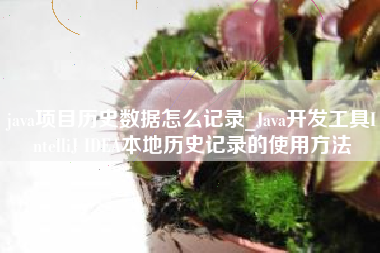 java项目历史数据怎么记录_Java开发工具IntelliJ IDEA本地历史记录的使用方法