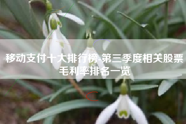 移动支付十大排行榜-第三季度相关股票毛利率排名一览