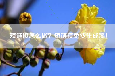 短链接怎么做？短链接免费生成器！