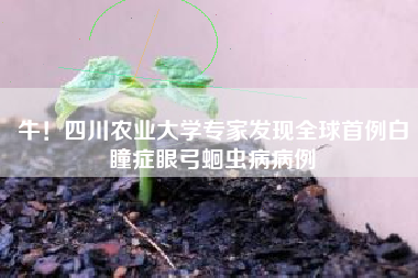 牛！四川农业大学专家发现全球首例白瞳症眼弓蛔虫病病例