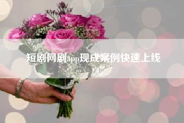 短剧网剧app现成案例快速上线