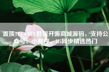 置顶TP6+VUE框架开源商城源码，支持公众号、小程序、H5同步精选热门