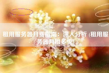 租用服务器月费指南：深入分析 (租用服务器月租多少)