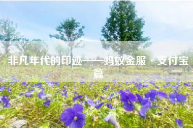 非凡年代的印迹——蚂蚁金服·支付宝篇