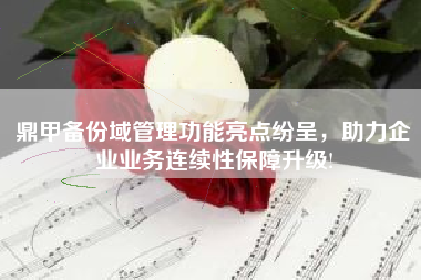鼎甲备份域管理功能亮点纷呈,助力企业业务连续性保障升级! 鼎甲备份域管理功能亮点纷呈,助力企业业务连续性保障升级!