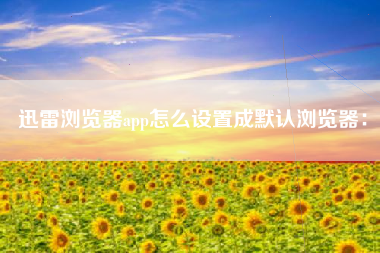 迅雷浏览器app怎么设置成默认浏览器：