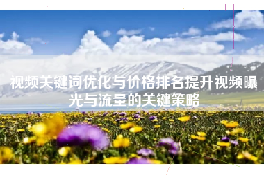 视频关键词优化与价格排名提升视频曝光与流量的关键策略