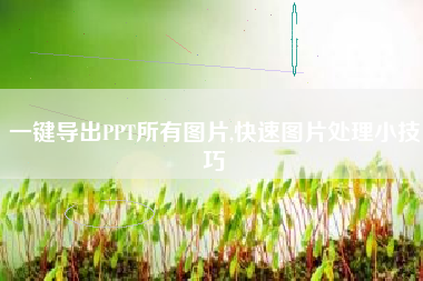 一键导出PPT所有图片,快速图片处理小技巧