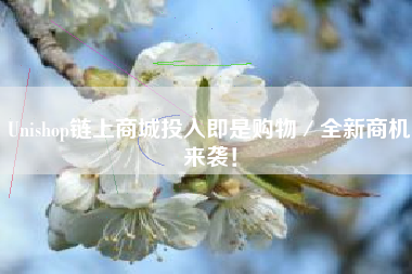 Unishop链上商城投入即是购物／全新商机来袭！