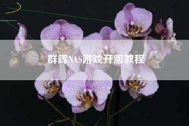 群晖NAS游戏开服教程