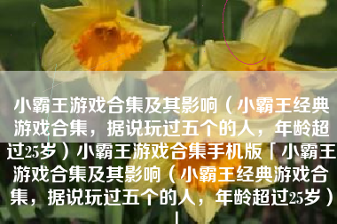 小霸王游戏合集及其影响（小霸王经典游戏合集，据说玩过五个的人，年龄超过25岁）小霸王游戏合集手机版「小霸王游戏合集及其影响（小霸王经典游戏合集，据说玩过五个的人，年龄超过25岁）」