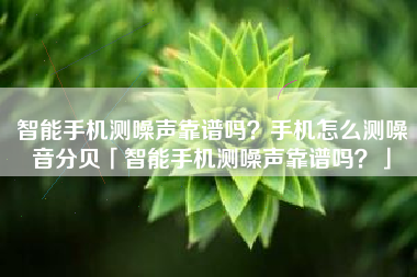 智能手机测噪声靠谱吗？手机怎么测噪音分贝「智能手机测噪声靠谱吗？」