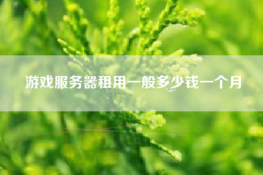 游戏服务器租用一般多少钱一个月 游戏服务器租用一般多少钱一个月