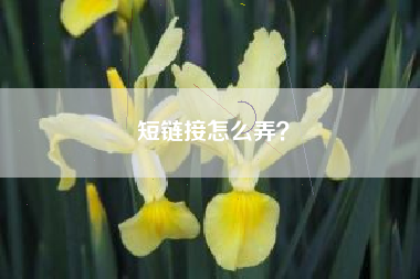 短链接怎么弄？