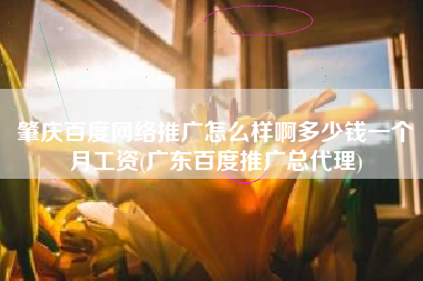 肇庆百度网络推广怎么样啊多少钱一个月工资(广东百度推广总代理)