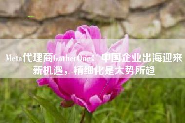 Meta代理商GatherOne：中国企业出海迎来新机遇，精细化是大势所趋