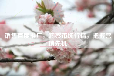 销售百度推广，洞察市场行情，把握营销先机