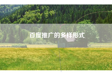 百度推广的多样形式