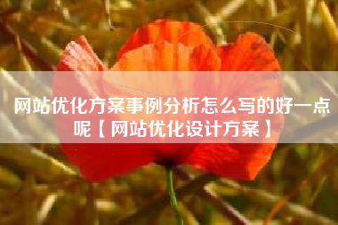 网站优化方案事例分析怎么写的好一点呢【网站优化设计方案】