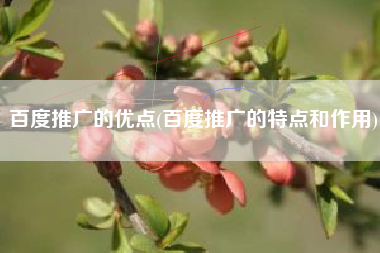 百度推广的优点(百度推广的特点和作用)