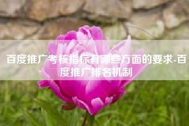 百度推广考核指标有哪些方面的要求-百度推广排名机制