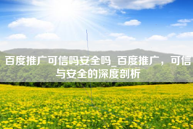 百度推广可信吗安全吗_百度推广，可信与安全的深度剖析