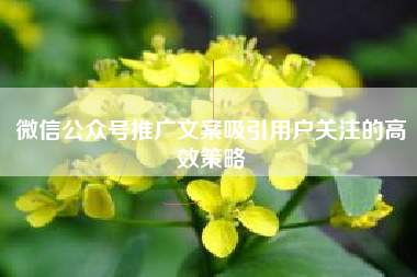 微信公众号推广文案吸引用户关注的高效策略