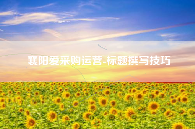 襄阳爱采购运营-标题撰写技巧
