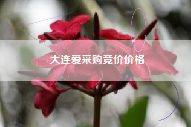 大连爱采购竞价价格