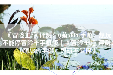 《冒险王2》评测：Q萌ARPG手游，想玩不能停冒险王手机版「《冒险王2》评测：Q萌ARPG手游，想玩不能停」