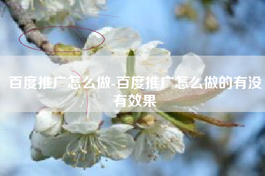 百度推广怎么做-百度推广怎么做的有没有效果