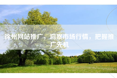 徐州网站推广，洞察市场行情，把握推广先机