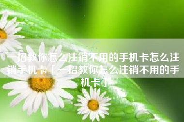 一招教你怎么注销不用的手机卡怎么注销手机卡「一招教你怎么注销不用的手机卡」
