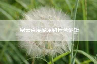 密云百度爱采购运营逻辑