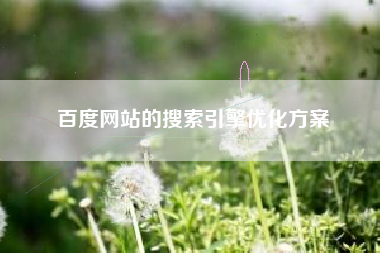 百度网站的搜索引擎优化方案