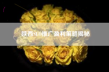 陕西SEO推广盈利策略揭秘